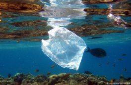 موافقت گروه ۲۰ با مقابله با انباشت پسماند پلاستیکی در اقیانوس‌ها