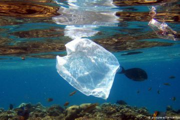 موافقت گروه ۲۰ با مقابله با انباشت پسماند پلاستیکی در اقیانوس‌ها