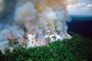 آتش‌سوزی آمازون؛ برزیل پیشنهاد کمک گروه ۷ را رد کرد
